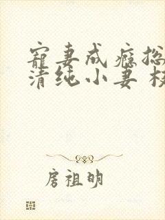 宠妻成瘾总裁的清纯小妻 枝枝