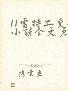 11处特工皇妃小说全文免费阅读