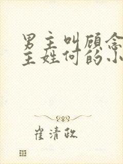 男主叫顾念西女主姓何的小说