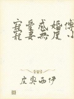 宠爱成婚傅先生宠妻无度 小说