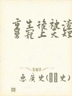 重生后被渣男舅舅宠上天短剧全集