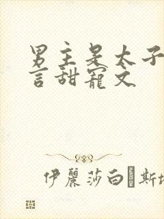 男主是太子的古言甜宠文