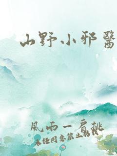 山野小邪医叶凡