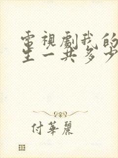 电视剧我的后半生一共多少集