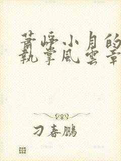 萧峥小月的小说执掌风云章节更新