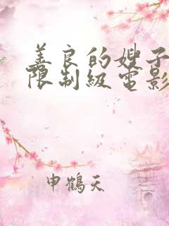 善良的嫂子韩国限制级电影