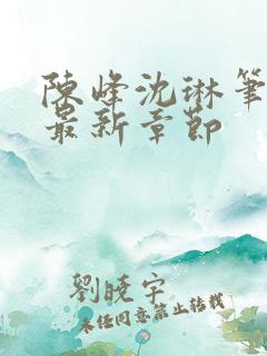 陈峰沈琳笔趣阁最新章节