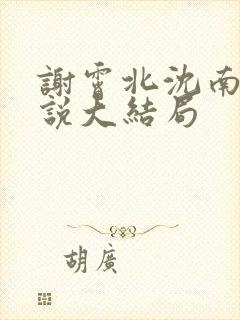 谢霄北沈南意小说大结局