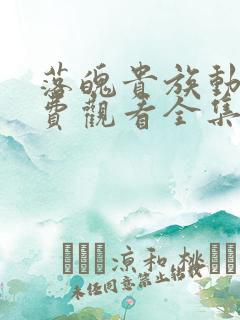 落魄贵族动漫免费观看全集高清下载