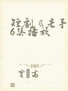 短剧《老手》36集播放