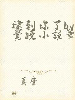 逮到你了by不觉晓小说笔趣阁