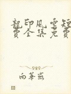 龙印风云短剧免费全集免费播放