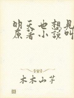 明天也想见到你原著小说叫什么