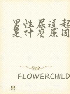 男性尿道起水泡是什么原因