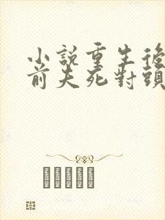 小说重生后嫁给前夫死对头