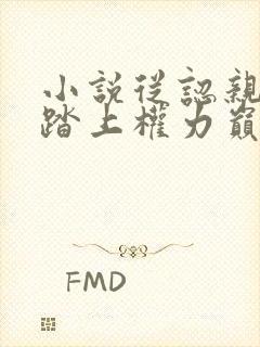 小说从认亲开始踏上权力巅峰正版免费