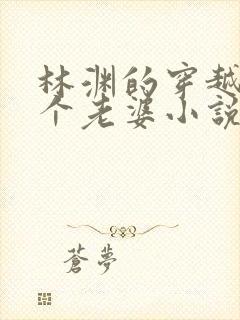 林渊的穿越娶三个老婆小说名字