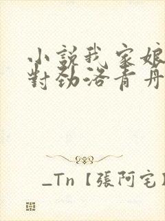 小说我家娘子不对劲洛青舟完结