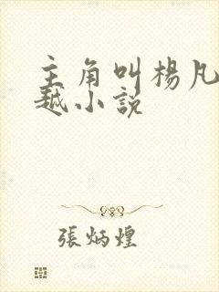 主角叫杨凡的穿越小说