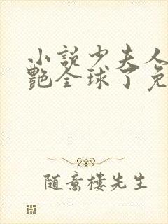 小说少夫人她惊艳全球了免费阅读