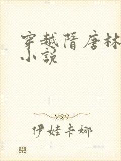 穿越隋唐林凡的小说