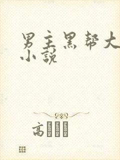 男主黑帮大佬的小说