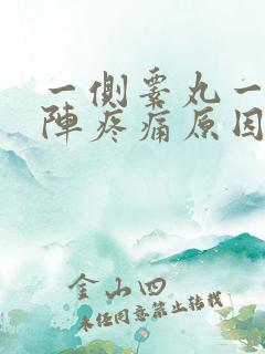 一侧睾丸一阵一阵疼痛原因