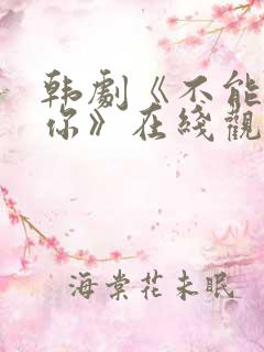 韩剧《不能没有你》在线观看