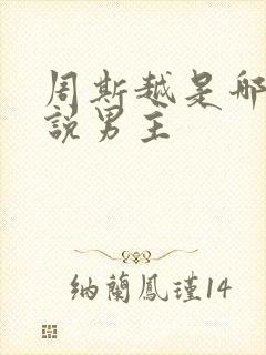 周斯越是哪本小说男主