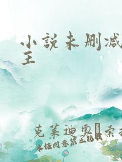 小说未删减双男主