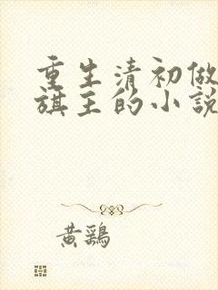 重生清初做八旗旗主的小说