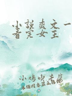 小说爽文一口气看完女主