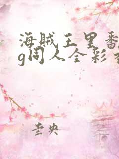 海贼王里番acg同人全彩本子