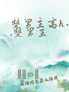 双男主高h小说,双男主