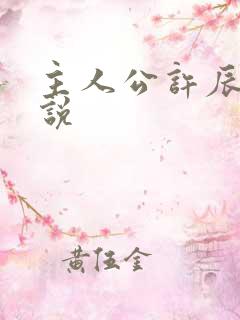 主人公许辰的小说