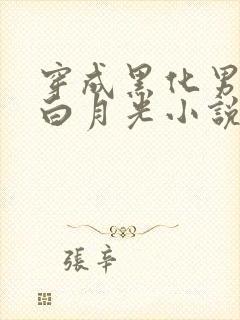 穿成黑化男主的白月光小说完整版