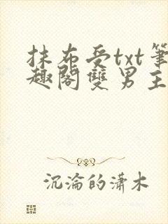 抹布受txt笔趣阁双男主