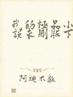 我的极品小姨小说未删版下载txt