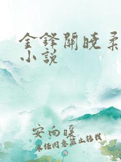 金锋关晓柔穿越小说