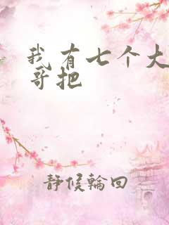我有七个大佬哥哥把