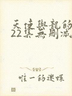 天使与龙的轮舞22集无删减