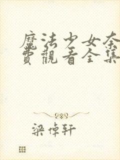 魔法少女奈叶免费观看全集