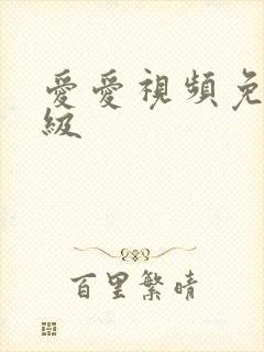 爱爱视频免费一级