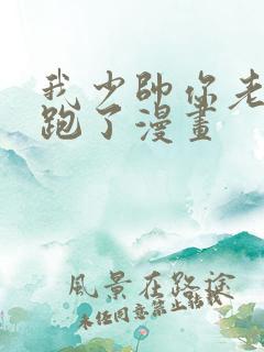 我少帅你老婆又跑了漫画