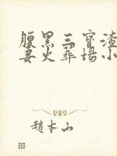 腹黑三宝渣爹追妻火葬场小说完整版