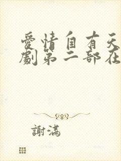 爱情自有天意短剧第二部在线观看