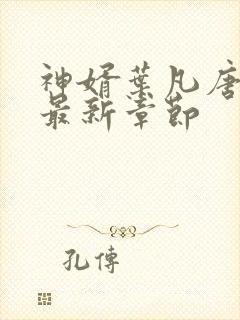 神婿叶凡唐若雪最新章节