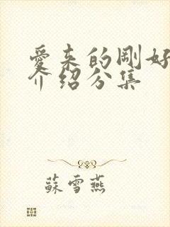 爱来的刚好剧情介绍分集