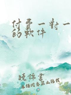 付费一对一聊天的软件