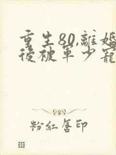 重生80,离婚后被军少宠上天